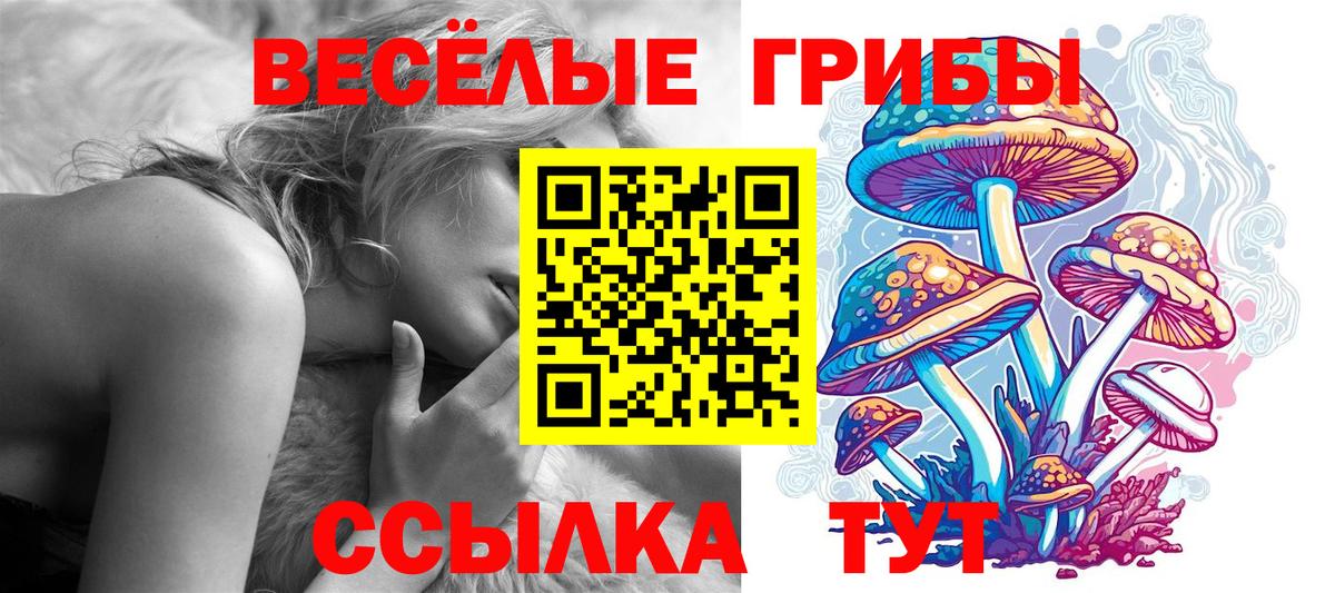 Псилоцибиновые грибы Psilocybe  Вход с VPN  закладки  Можга 